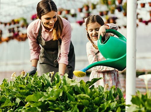 Plantation Fertilizer